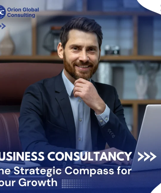 Business Consultancy