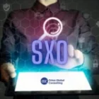 Search Experience Optimization: 7 Key SXO Strategies You Need to Know