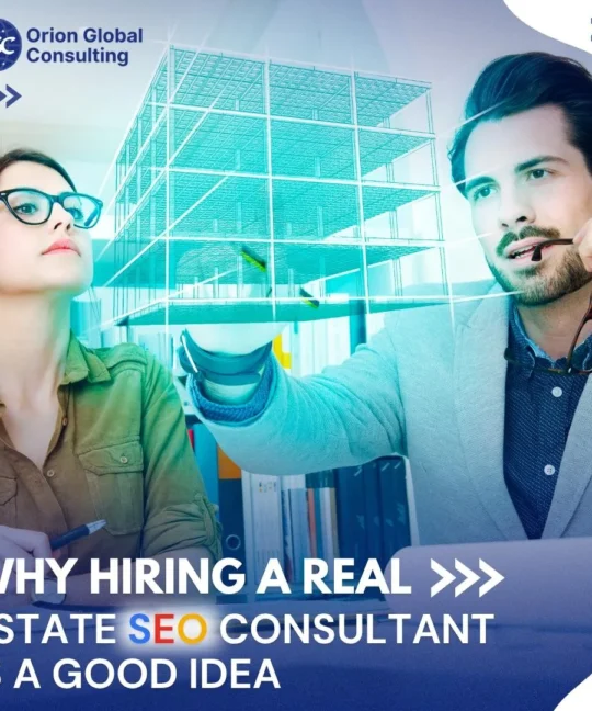 Real Estate SEO Consultant
