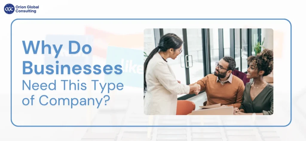 Why Do Businesses Need This Type of Company